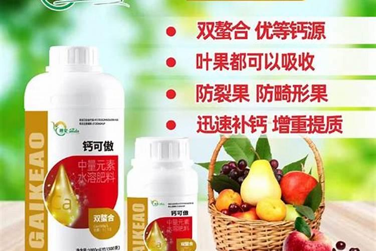 迎春花土里应加什么肥料