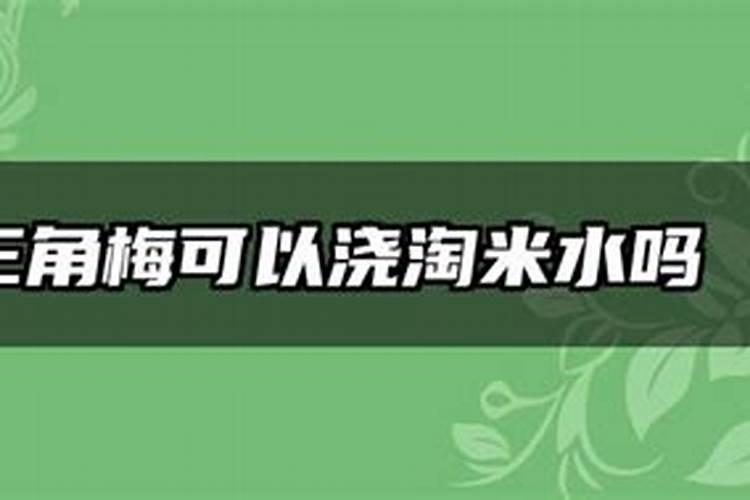 三角梅多久施一次肥 施肥方法和时间