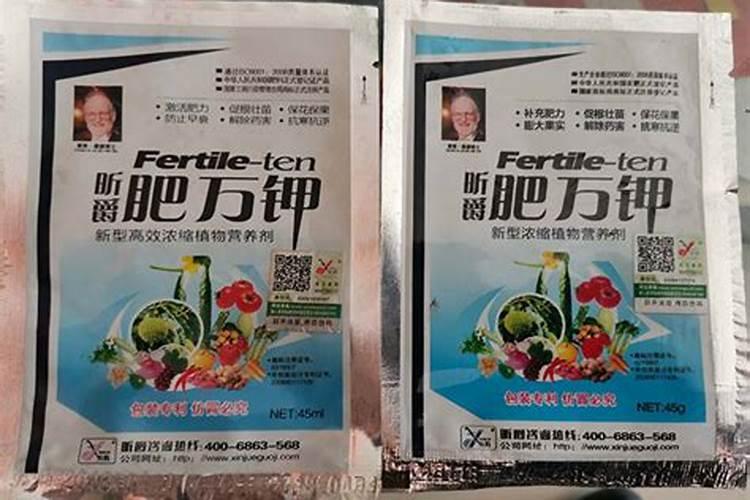 荸荠高产种植技术 荸荠怎么养殖比较好