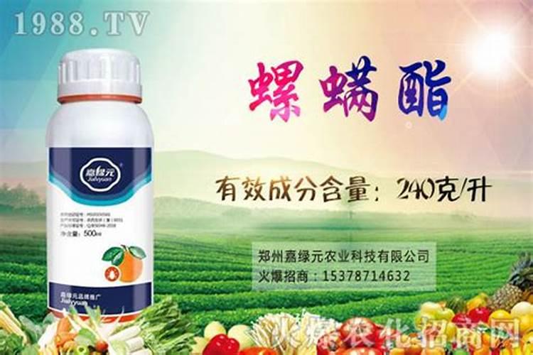 辣椒开花时候打什么药好