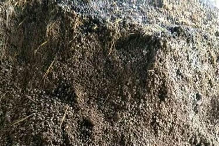 氨基酸水溶肥的使用方法