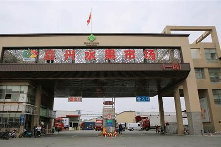 橘子单价多少元一千克