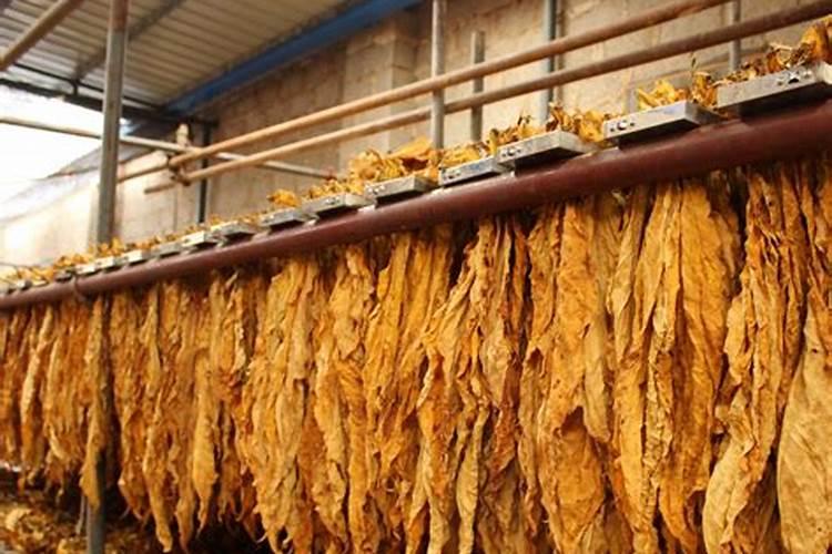 草莓缺硼怎么办