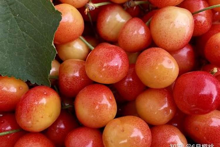 苹果都含有什么微量元素