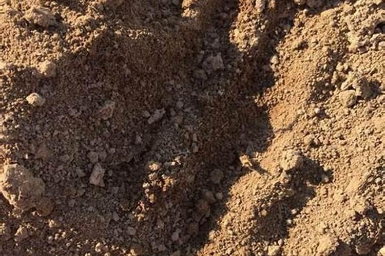 济南瑞芙果汁厂收桃子次果吗？