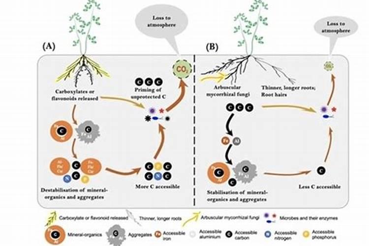 豆粕肥料配方大全