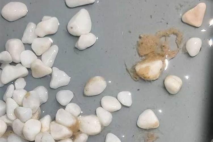 甘蔗有黑色裂痕