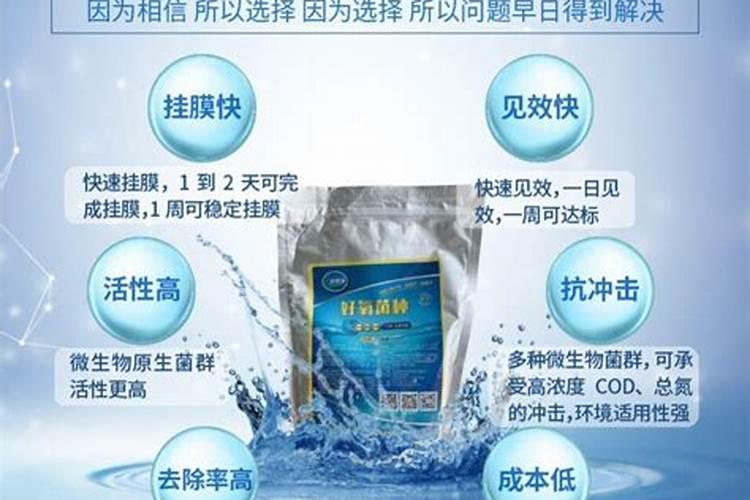 怎么把杜鹃花养好？