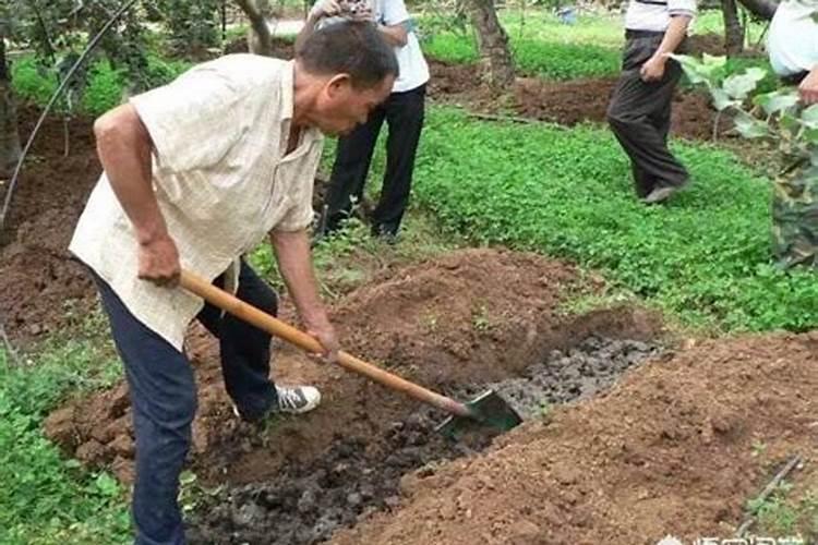 [提高氮肥有效利用率七法]提高氮肥利用率的意义