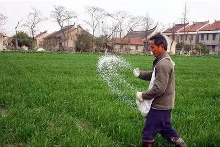 什么叫颗粒氮肥？ 颗粒氮肥简述