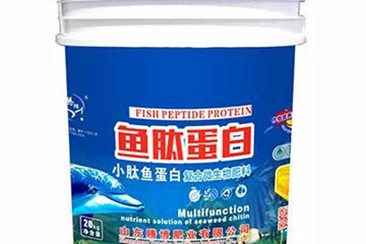 冬季娃娃菜不长怎么办