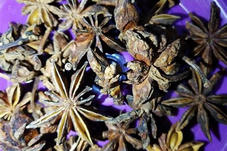 八角树施什么肥料挂果多