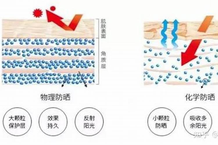 哈密瓜什么时候施肥 哈密瓜最合适的施肥时间