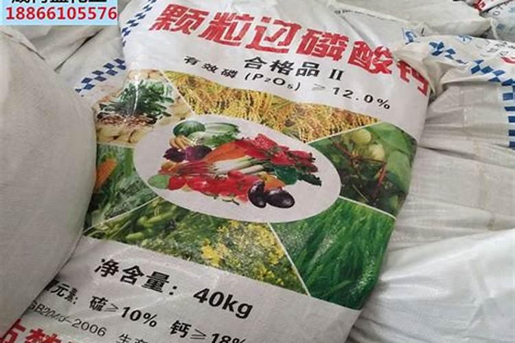 钙镁磷肥可以直接放在幼苗根部吗？