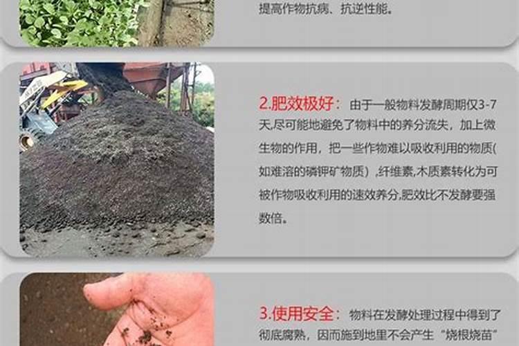 如何给农作物科学施用锌肥