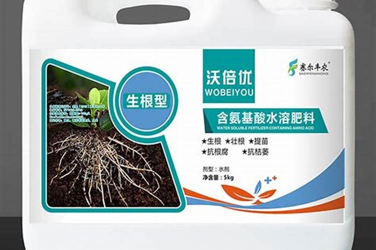 小麦苗稀多少天可以喷生根剂和水溶肥
