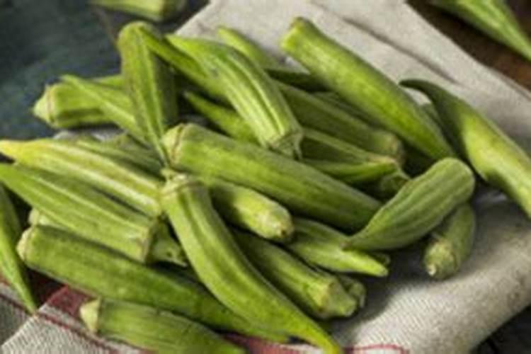 种植榨菜需要摘叶子吗