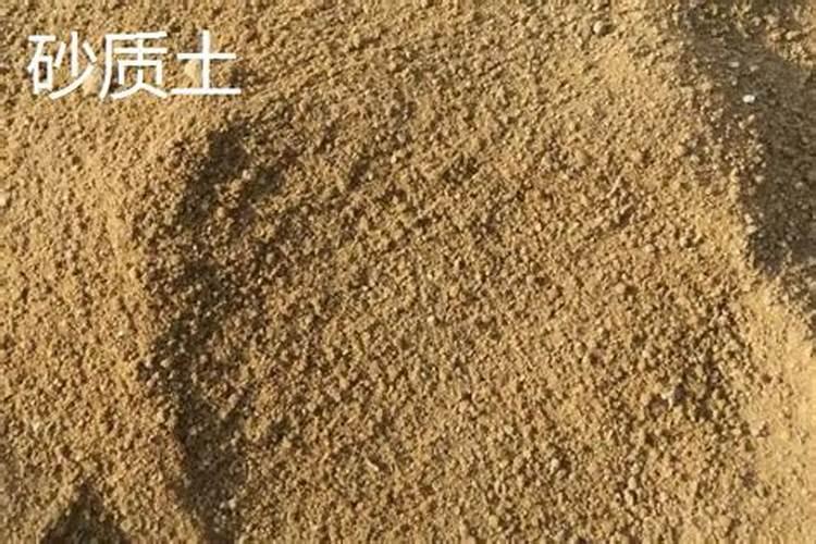 沙梨的需肥特点是什么？