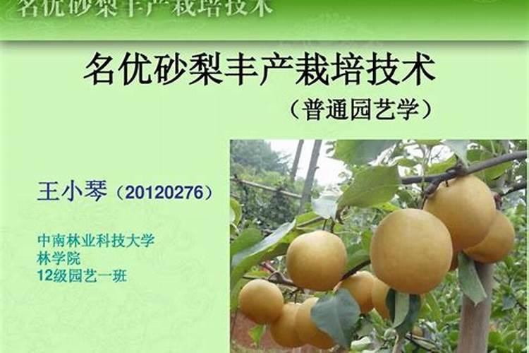 沙梨缺镁时有哪些症状？