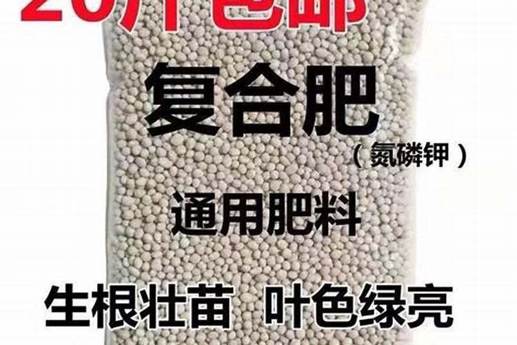 黄瓜如何正确施肥