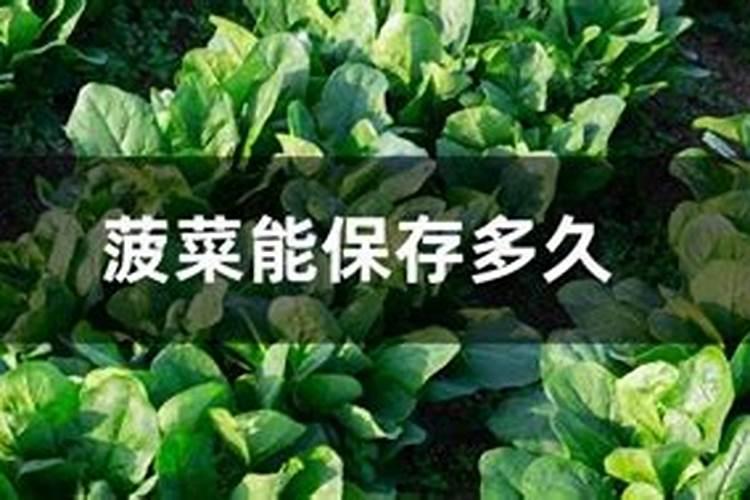 西瓜浇水多久浇一次西瓜如何浇水