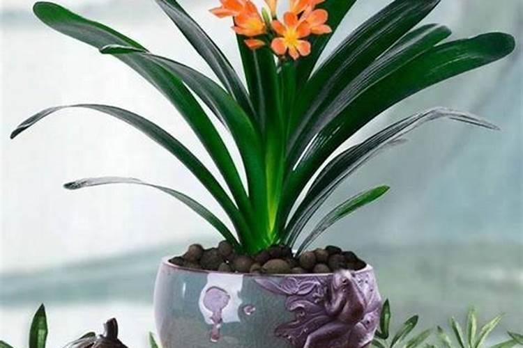 硫酸钾和氯化钾在用途范围上有什么不一样