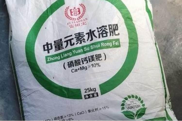 合欢树种子怎么种 合欢树种子种植方法介绍