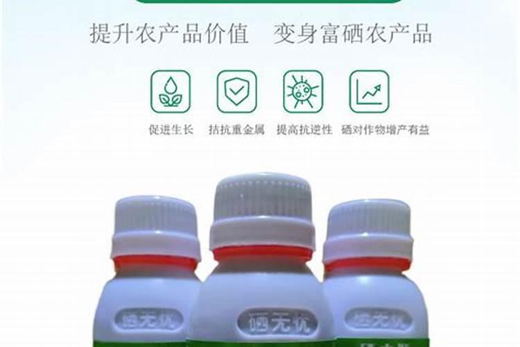 种白菜如何施肥