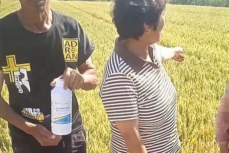 矿源黄腐酸钾底肥一亩用多少