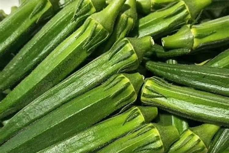 秋葵结果期需要什么肥？