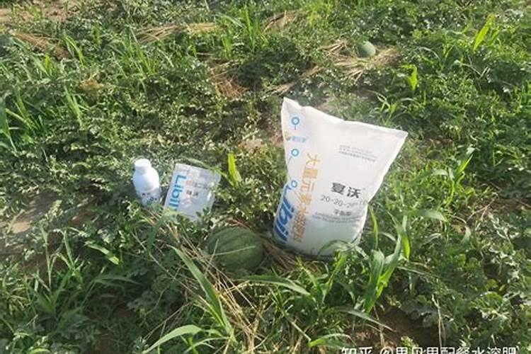 西瓜移栽可用平衡行水溶肥浇水吗？