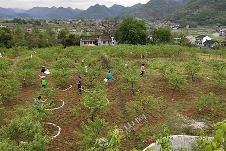 化肥检测找哪个部门