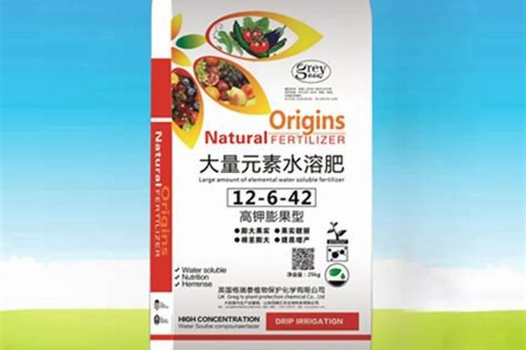 兰花草什么时候开花