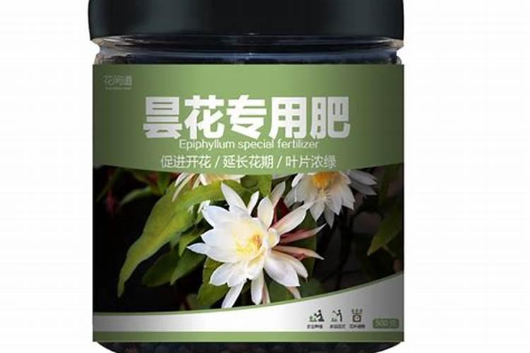 菊花施肥方法,用什么肥好