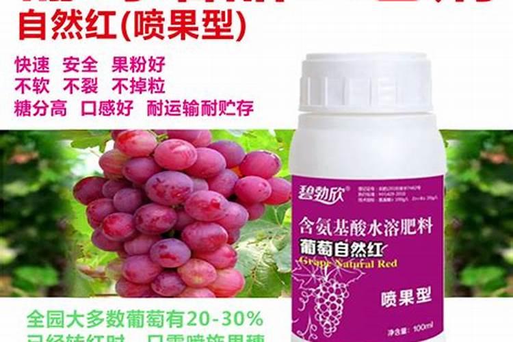 ...当追肥吗？玉米面积大,尿素追肥不能及时,什么叶面肥可以替代...