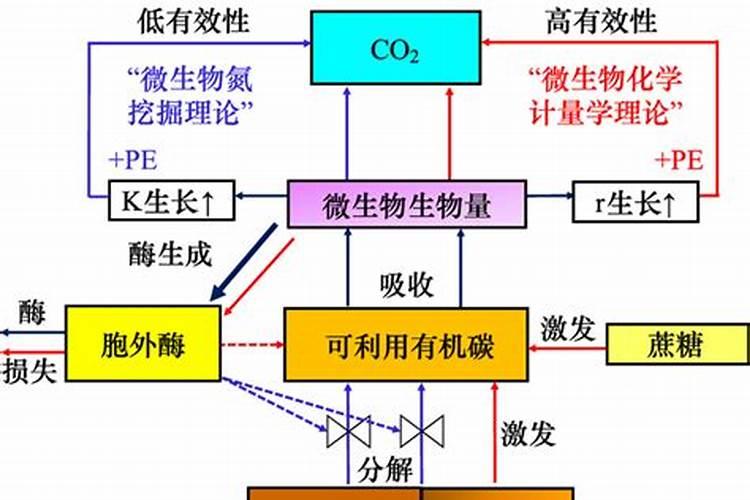 家里养了一盆花,由于缺磷叶子发紫,但是附近没有卖营养肥料的,有什么...