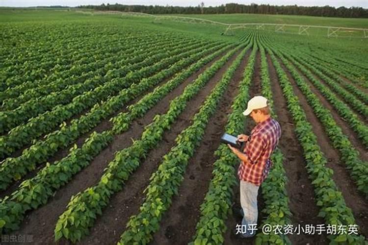 底肥用什么肥料好 也都适合做基肥