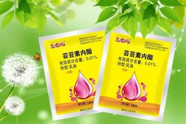 开花期能不能施肥