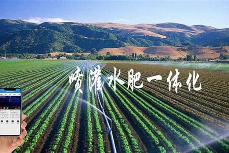 露地西瓜种植技术