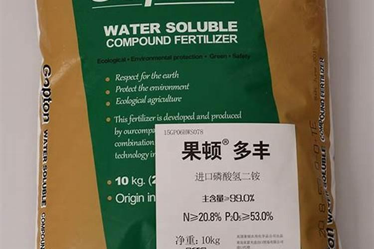 空气凤梨喷雾状水一天喷几次