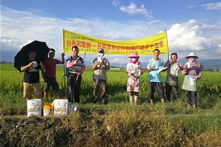 甲维虫螨腈可以和恒星艾农全能斗混和使用吗