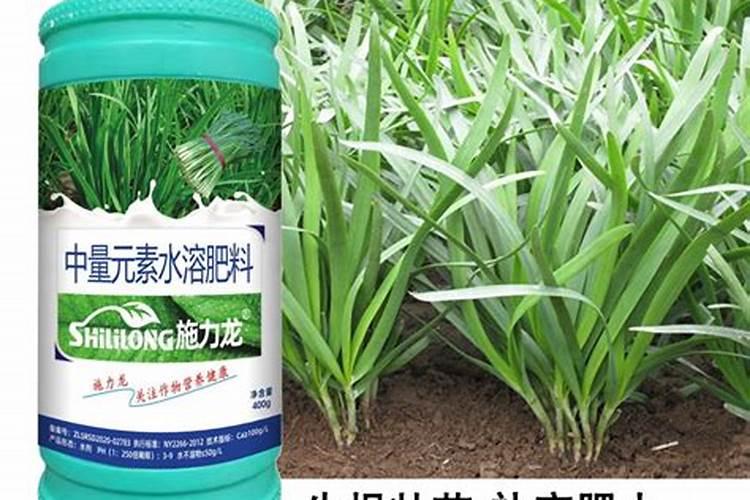 如何正确使用磷酸二氢钾