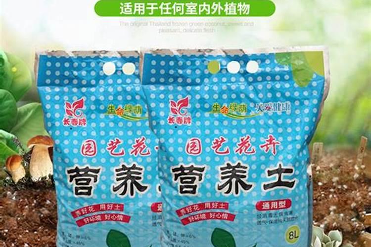 蚯蚓营养土可以直接种花吗