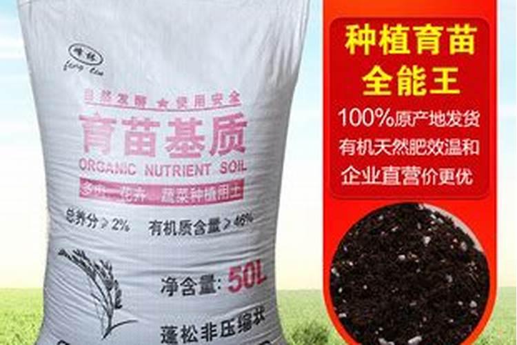 松针发酵腐熟做营养土,为什么要选择生松针,不宜选择干松针？