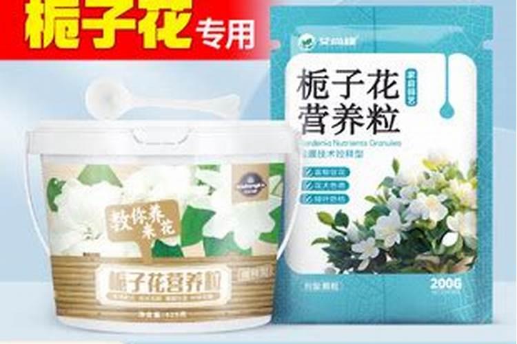 栀子花施肥什么肥料