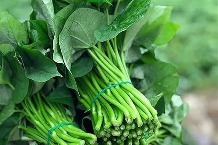 红薯喷什么叶面肥结果多？红薯保花保果专用增产叶面肥料？