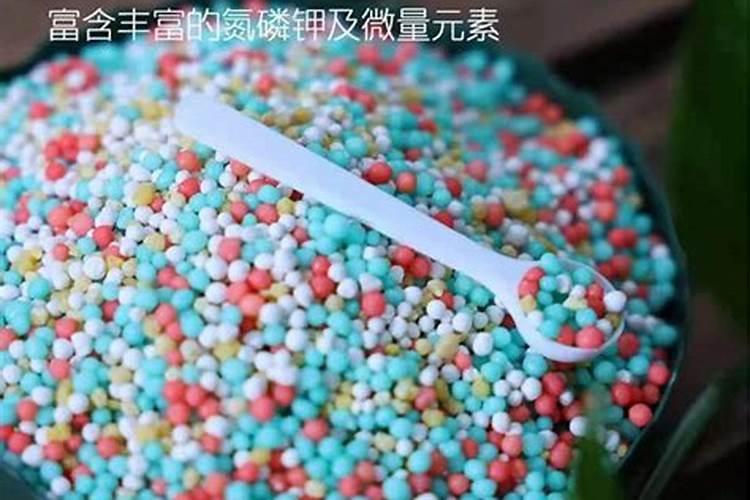多肉植物控释肥和缓释肥的区别是什么？