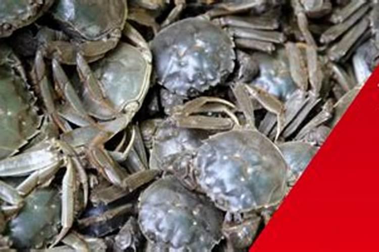 果实长在地底下的植物有哪些