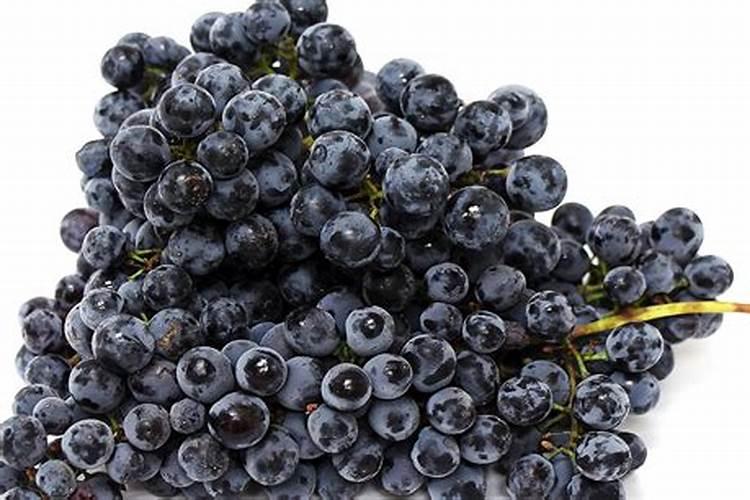 阳光玫瑰葡萄硬核期后要冲施磷酸二氢钾吗？