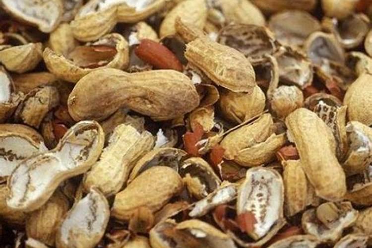 花生皮掺到土里能种花吗